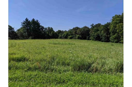 11 ACRES Wirth Ln, Monticello, WI 53570