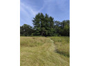 11 ACRES Wirth Ln, Monticello, WI 53570