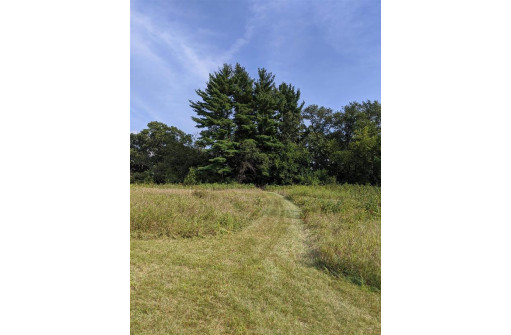 11 ACRES Wirth Ln, Monticello, WI 53570