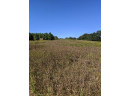 11 ACRES Wirth Ln, Monticello, WI 53570