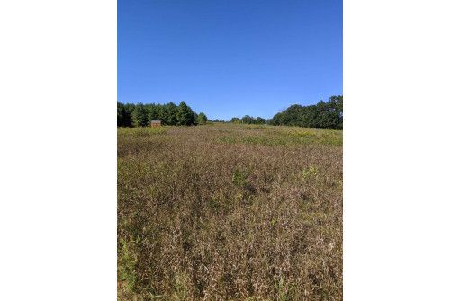 11 ACRES Wirth Ln, Monticello, WI 53570