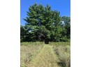 11 ACRES Wirth Ln, Monticello, WI 53570