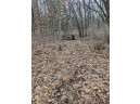 11 ACRES Wirth Ln, Monticello, WI 53570