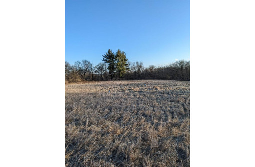 11 ACRES Wirth Ln, Monticello, WI 53570