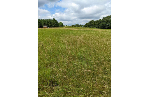 11 ACRES Wirth Ln, Monticello, WI 53570