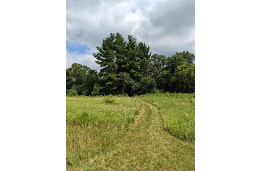 11 ACRES Wirth Ln, Monticello, WI 53570