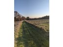 11 ACRES Wirth Ln, Monticello, WI 53570