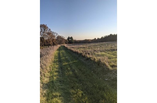 11 ACRES Wirth Ln, Monticello, WI 53570