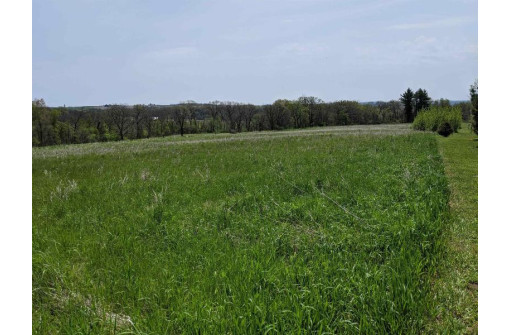 11 ACRES Wirth Ln, Monticello, WI 53570