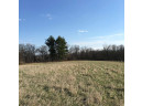 11 ACRES Wirth Ln, Monticello, WI 53570