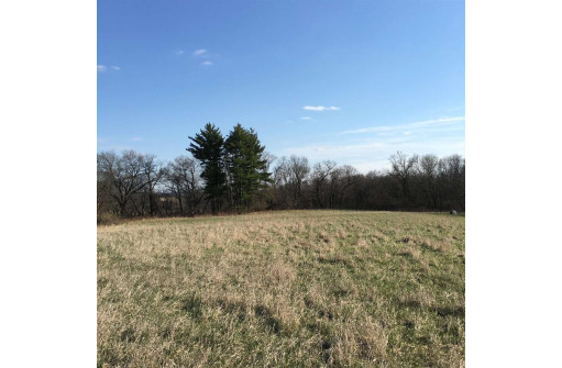 11 ACRES Wirth Ln, Monticello, WI 53570