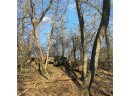 11 ACRES Wirth Ln, Monticello, WI 53570