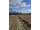 11 ACRES Wirth Ln, Monticello, WI 53570