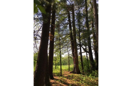 11 ACRES Wirth Ln, Monticello, WI 53570