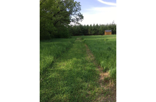 11 ACRES Wirth Ln, Monticello, WI 53570