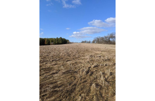 11 ACRES Wirth Ln, Monticello, WI 53570