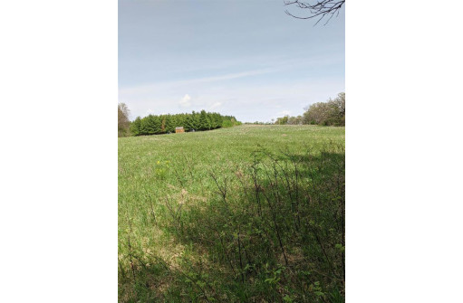 11 ACRES Wirth Ln, Monticello, WI 53570