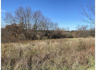 2.54 ACRES E Lake Rd Mineral Point, WI 53565
