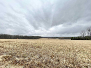 46 AC Colley Rd