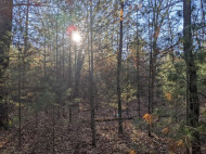 19th Creek Lot 109