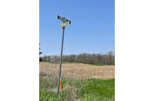 4.34 AC County Rd X / Sheldon St, Darien, WI 53114