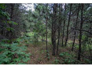 LOT 1 17th St Necedah, WI 54646