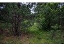 LOT 1 17th St, Necedah, WI 54646