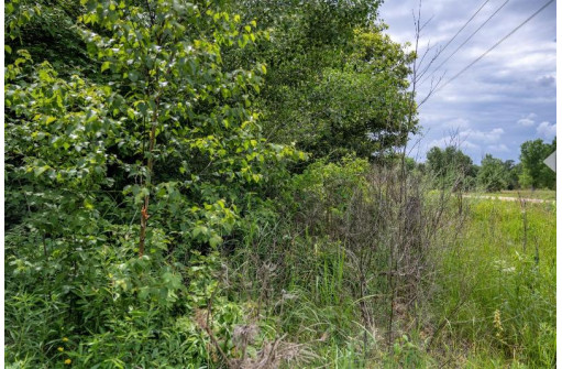 LOT 2 17th St, Necedah, WI 54646