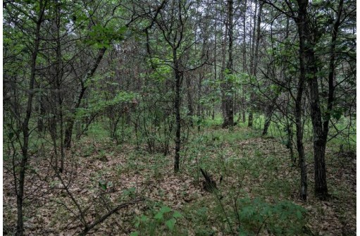 LOT 3 17th St, Necedah, WI 54646