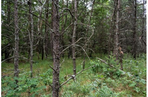 LOT 3 17th St, Necedah, WI 54646