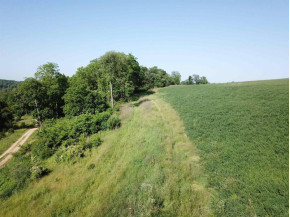 +/- 84 ACRES Far View Rd