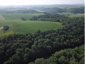 +/- 84 ACRES Far View Rd