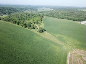 +/- 84 ACRES Far View Rd