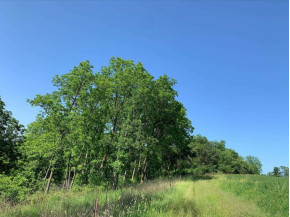 +/- 84 ACRES Far View Rd