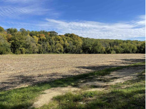 6.18 +/- ACRES Martintown Rd