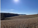 22.33 ACRES County Road Ff, Wonewoc, WI 53968