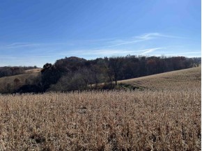 22.33 ACRES County Road Ff