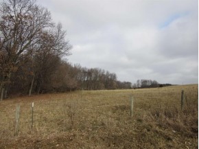 20 AC Gulch Ave