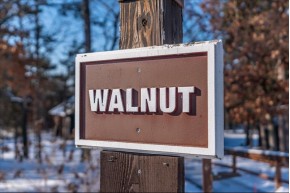 6 Walnut Tr 6