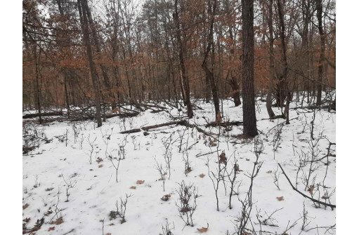 8.59+/- ACRES Lyndon Rd, Lyndon Station, WI 53944