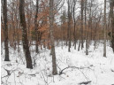 8.59+/- ACRES Lyndon Rd, Lyndon Station, WI 53944