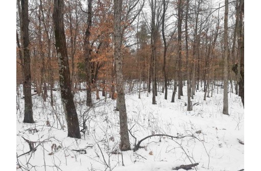 8.59+/- ACRES Lyndon Rd, Lyndon Station, WI 53944