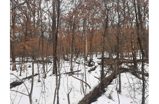 8.59+/- ACRES Lyndon Rd, Lyndon Station, WI 53944