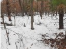 8.59+/- ACRES Lyndon Rd, Lyndon Station, WI 53944