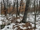 8.59+/- ACRES Lyndon Rd, Lyndon Station, WI 53944