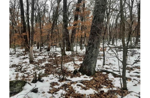 8.59+/- ACRES Lyndon Rd, Lyndon Station, WI 53944