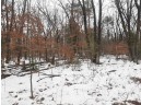 8.59+/- ACRES Lyndon Rd, Lyndon Station, WI 53944