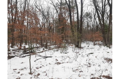 8.59+/- ACRES Lyndon Rd, Lyndon Station, WI 53944