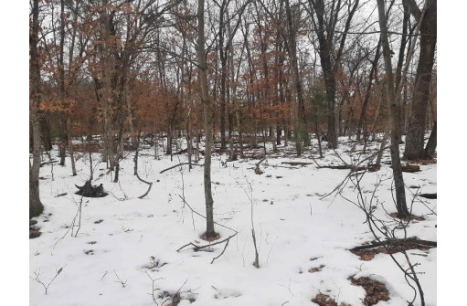 8.59+/- ACRES Lyndon Rd, Lyndon Station, WI 53944