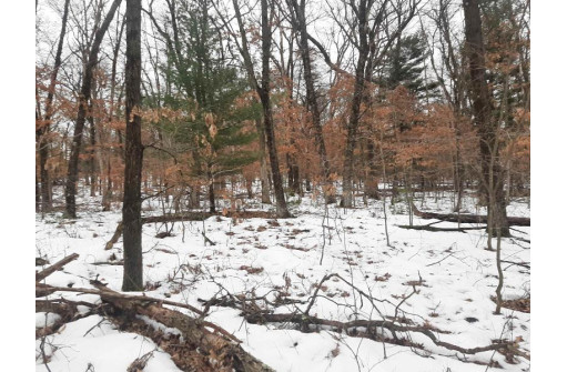 8.59+/- ACRES Lyndon Rd, Lyndon Station, WI 53944